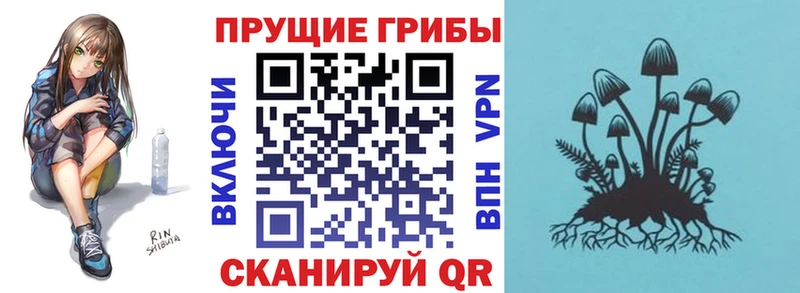 даркнет сайт  Ессентуки  Галлюциногенные грибы прущие грибы 