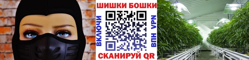 Бошки марихуана семена  нарко площадка наркотические препараты  Ессентуки 